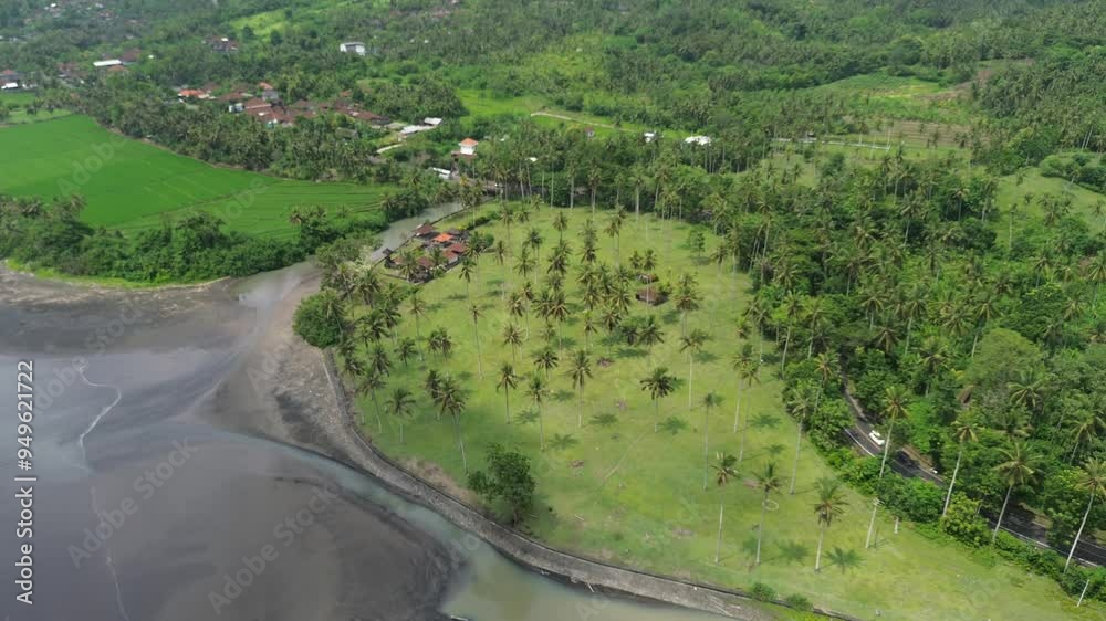 Aerial view of a tropical coastline with palm trees and farmland Aerial view of a tropical coastline with palm trees and farmland