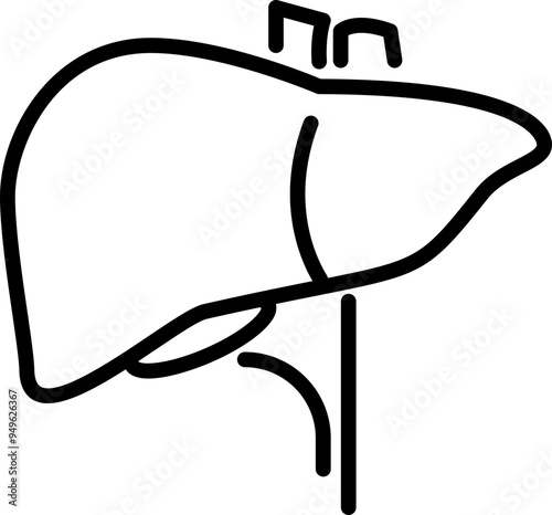 Human Liver Icon