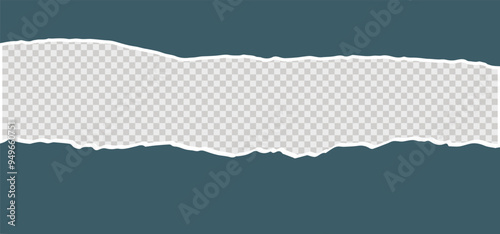 Torn paper edges, ripped paper vector