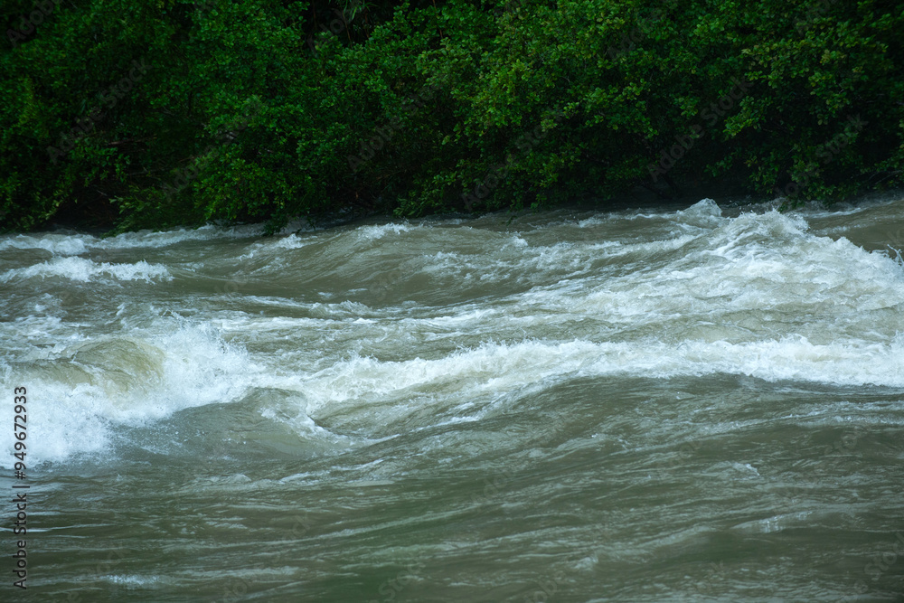 Fototapeta premium 大雨による増水