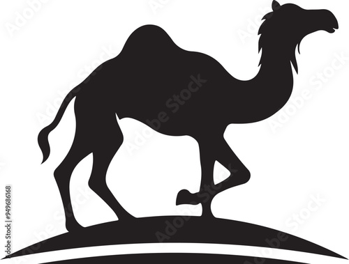 Camel on the beach