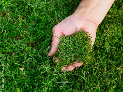 Woman inspecting freshly mowed lawn
