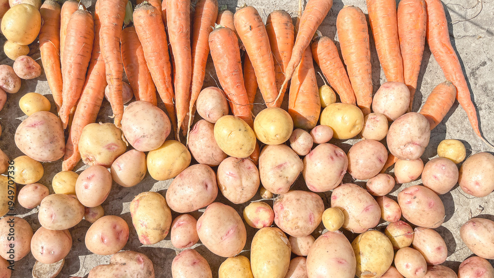 Carrots and potatoes close up top view A pile of vegetables including carrots, potatoes, and beets. The carrots are the most prominent, with a few of them being cut in half Carrots and potatoes close up top view A pile of vegetables including carrots, potatoes, and beets. The carrots are the most prominent, with a few of them being cut in half