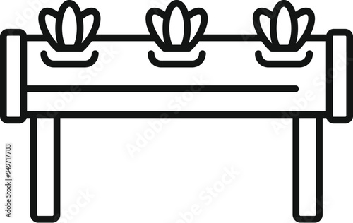 Simple hydroponic system growing three plants using mineral nutrient solutions in water without soil