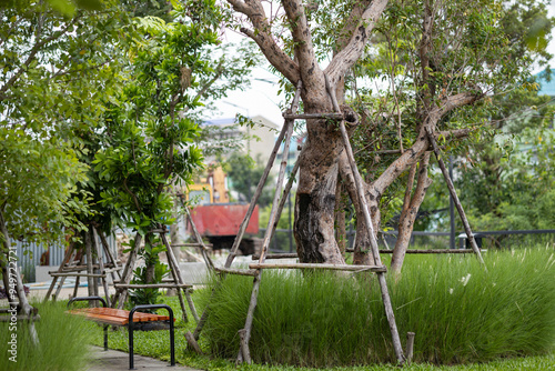 Lush Urban Park with Trees and Benches