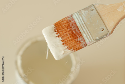 A close-up photograph of a paintbrush dipped in white paint, showcasing details of the bristles and paint texture