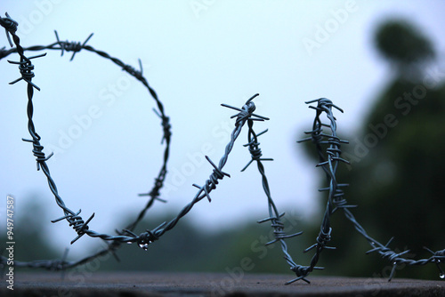 Barbed Fencing Wire 