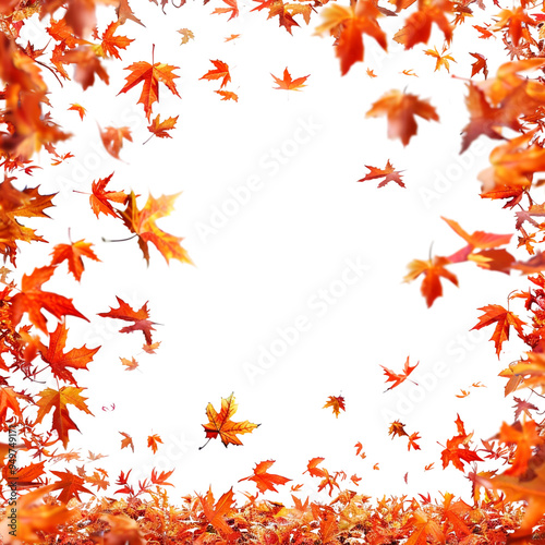 Wallpaper Mural Autumn Leaves Falling on a Black Background Torontodigital.ca
