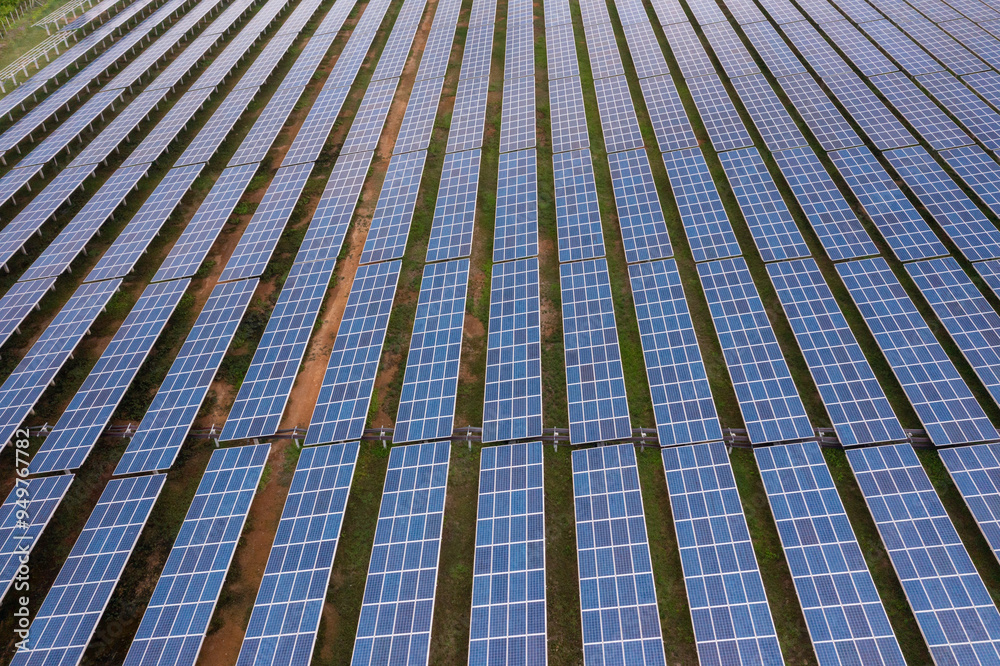 Engineer Inspecting Solar Panels at Power Plant