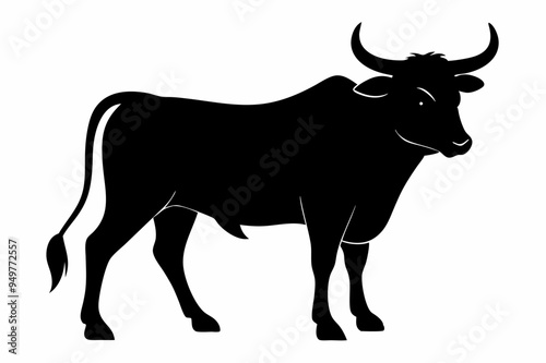 A Bull vector illustration
