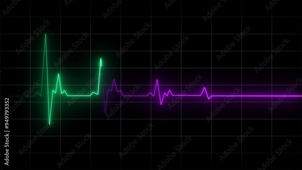 Glowing neon green, purple color heartbeat and pulse line with grid, seamless and loop motion animate footage. Colorful heartbeat rate and pulse, black screen, seamless and loop motion animate footage Glowing neon green, purple color heartbeat and pulse line with grid, seamless and loop motion animate footage. Colorful heartbeat rate and pulse, black screen, seamless and loop motion animate footage