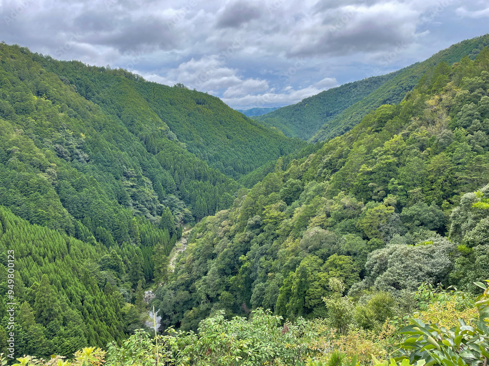 Fototapeta premium 夏の渓谷