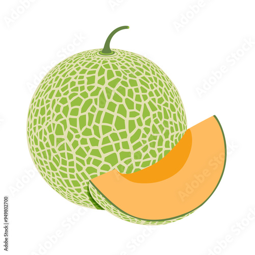 Cantaloupe melon, fruit vector illustration 10