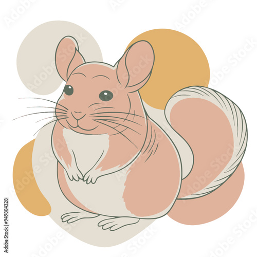 Chinchillas design and vector art.