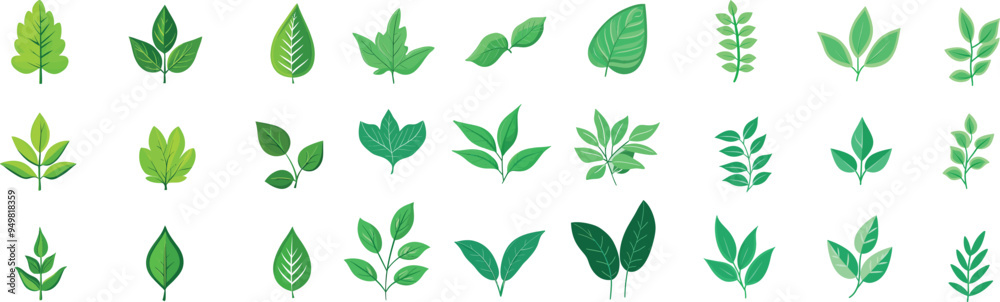 Icons of leaves of trees and plants. Green leaf collection. Elements design for natural, eco, bio, vegan labels.