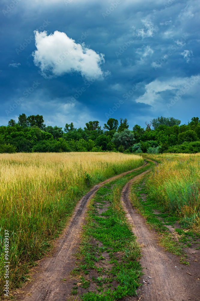 Country road leading through the meadow into the forest and dark rain clouds in the sky. Summer nature of the forest-steppe Country road leading through the meadow into the forest and dark rain clouds in the sky. Summer nature of the forest-steppe