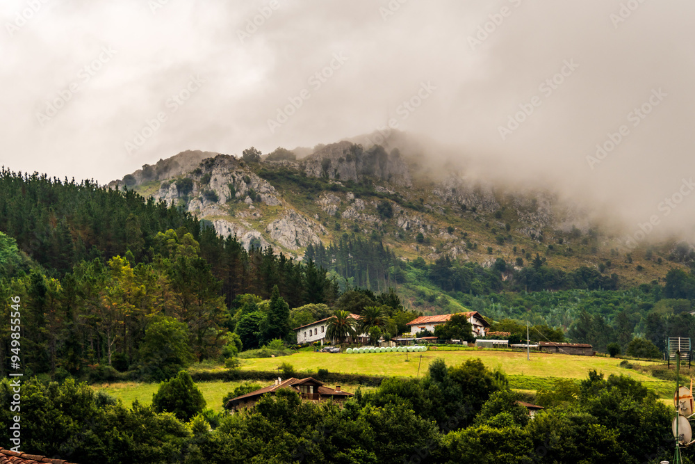 Fototapeta premium Paisaje en Areatza, País Vasco.