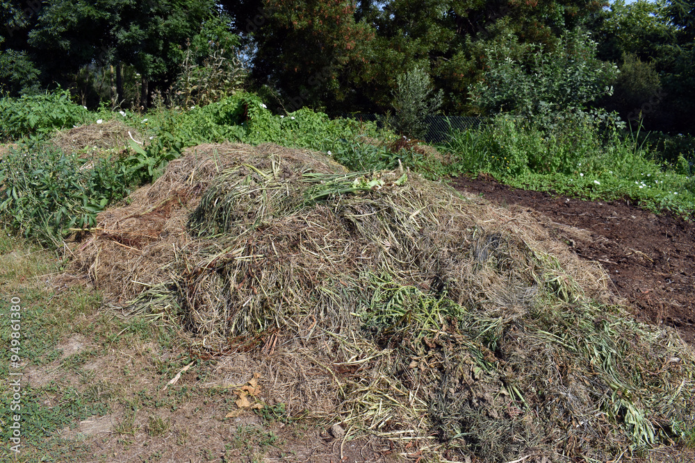 Plant and herb remains for composting Plant and herb remains for composting
