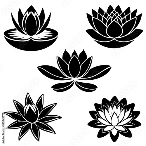 Water Lily Flower Silhouette Black Vector