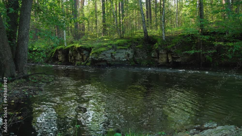 A freshwater river flowing through the forest. The movement of water at the mouth of the river. Beautiful natural landscape. A calm scene. A freshwater river flowing through the forest. The movement of water at the mouth of the river. Beautiful natural landscape. A calm scene.