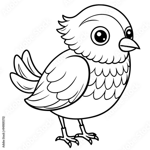 Cute Bird Doodle Line Art photo