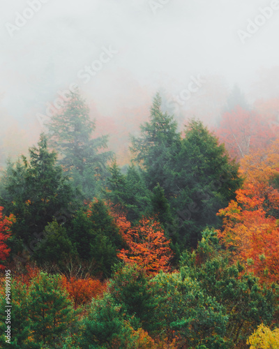 Fall Foliage Nature Background Wallpaper Autumn Scene Early Morning Fog in Vermont, USA