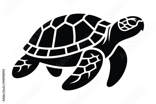 silhouette turtle vector