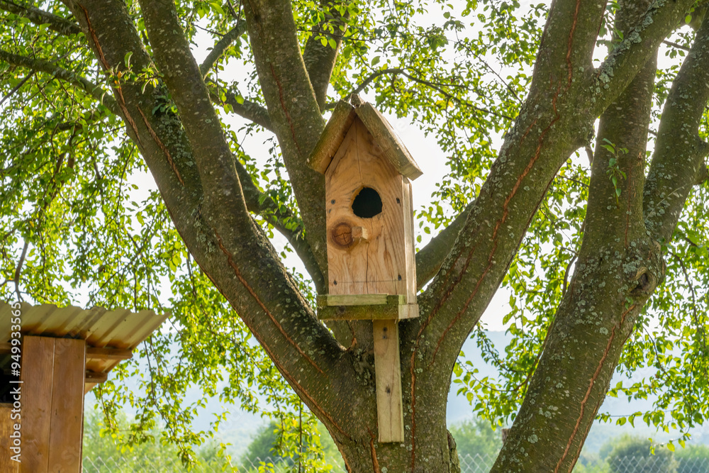 close-up Bird house on a tree. Wooden birdhouse, nesting box for songbirds in park. close-up Bird house on a tree. Wooden birdhouse, nesting box for songbirds in park.