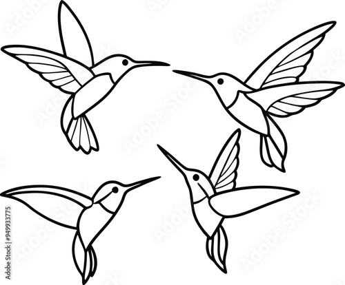 hummingbird and flower