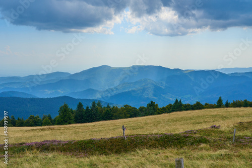 Massif des Vosges