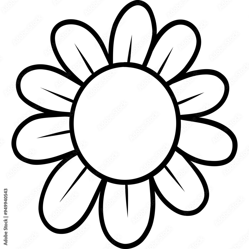 Daisy flower chamomile Daisy flower chamomile
