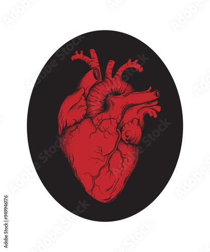 Human heart anatomically correct hand drawn line art and dotwork. Flash tattoo or print design vector illustration