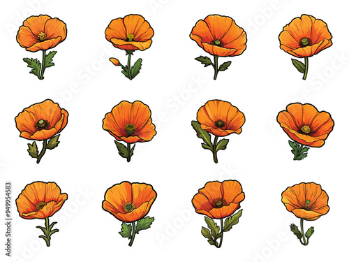 Poppy flower clipart design illustration