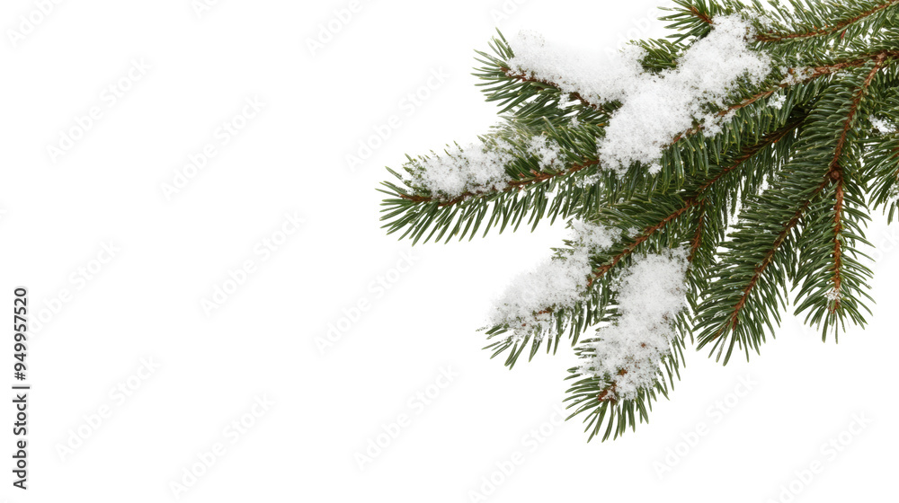 Snow-covered pine branch depicting winter beauty and holiday spirit, perfect for seasonal designs and festive themes. Snow-covered pine branch depicting winter beauty and holiday spirit, perfect for seasonal designs and festive themes.