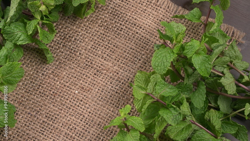 Fresh green mint leaves, Concept healthy diet.