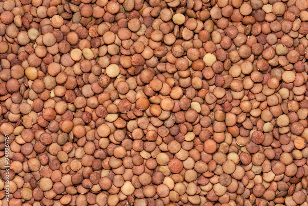 Uncooked brown lentils texture background Uncooked brown lentils texture background