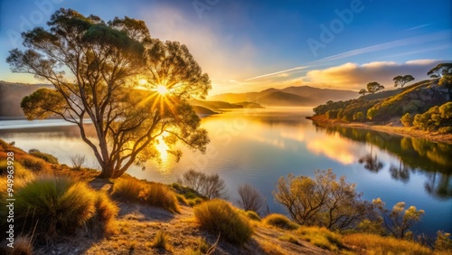 Lake Cachuma, California, USA in January misty morning with the sun peeking through the trees, casting a warm golden light on the calm waters photo