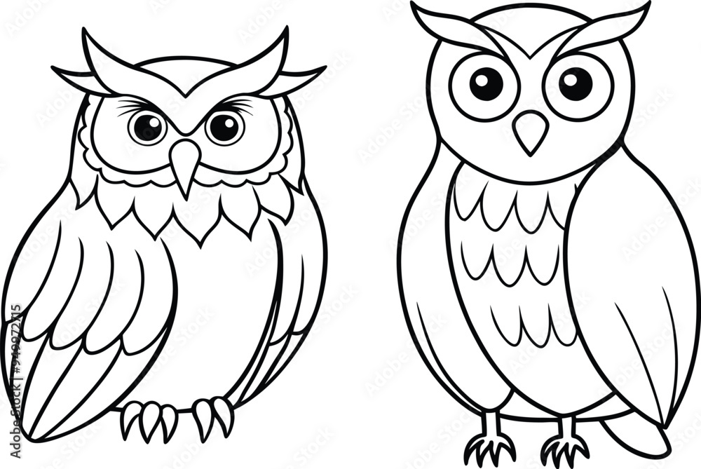 Fototapeta premium owl bird vector art 