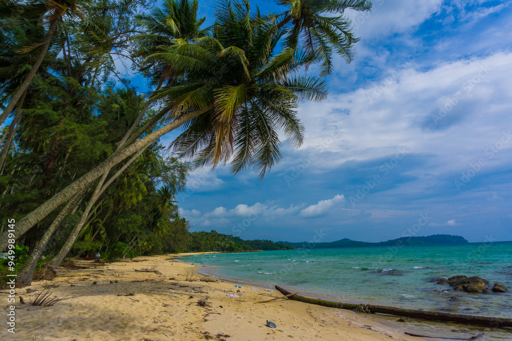 Coconut palm tree on sea beach against blue sky with cloud Coconut palm tree on sea beach against blue sky with cloud