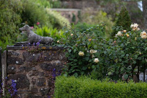 Garden flowers and statue