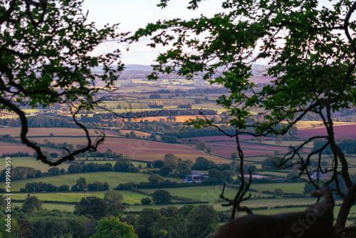 Fields in Somerset, England