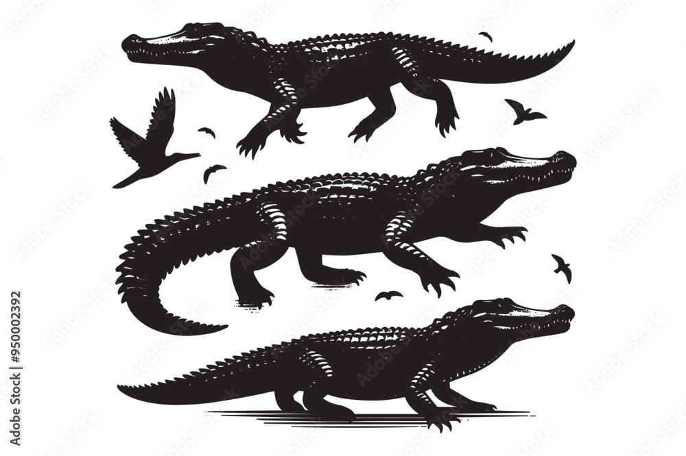 Fototapeta premium Crocodile silhouette vector illustration