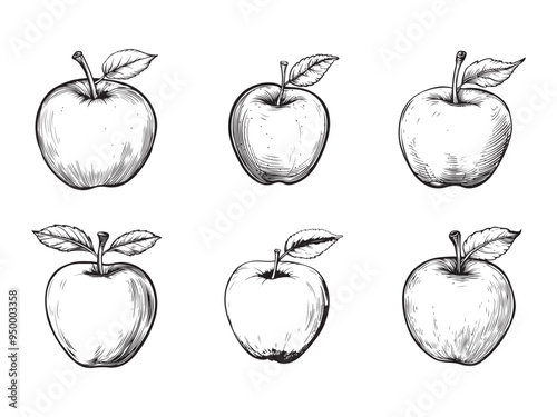 Hand drawn apple clipart design illustration