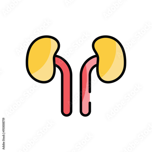 Kidneys vector icon
