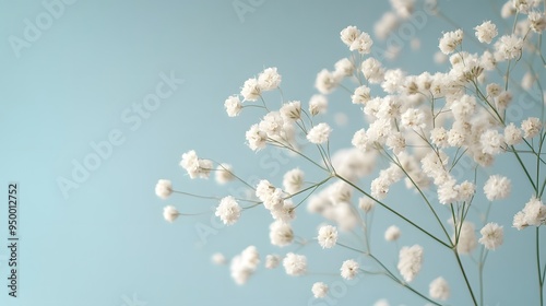 Delicate white baby's breath flowers, pale blue background, minimalist floral arrangement, soft focus, pastel color palette, gentle natural lighting.