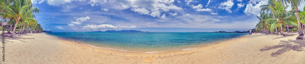 Panoramic picture of a deserted, palm-covered, tropical sandy beach Panoramic picture of a deserted, palm-covered, tropical sandy beach