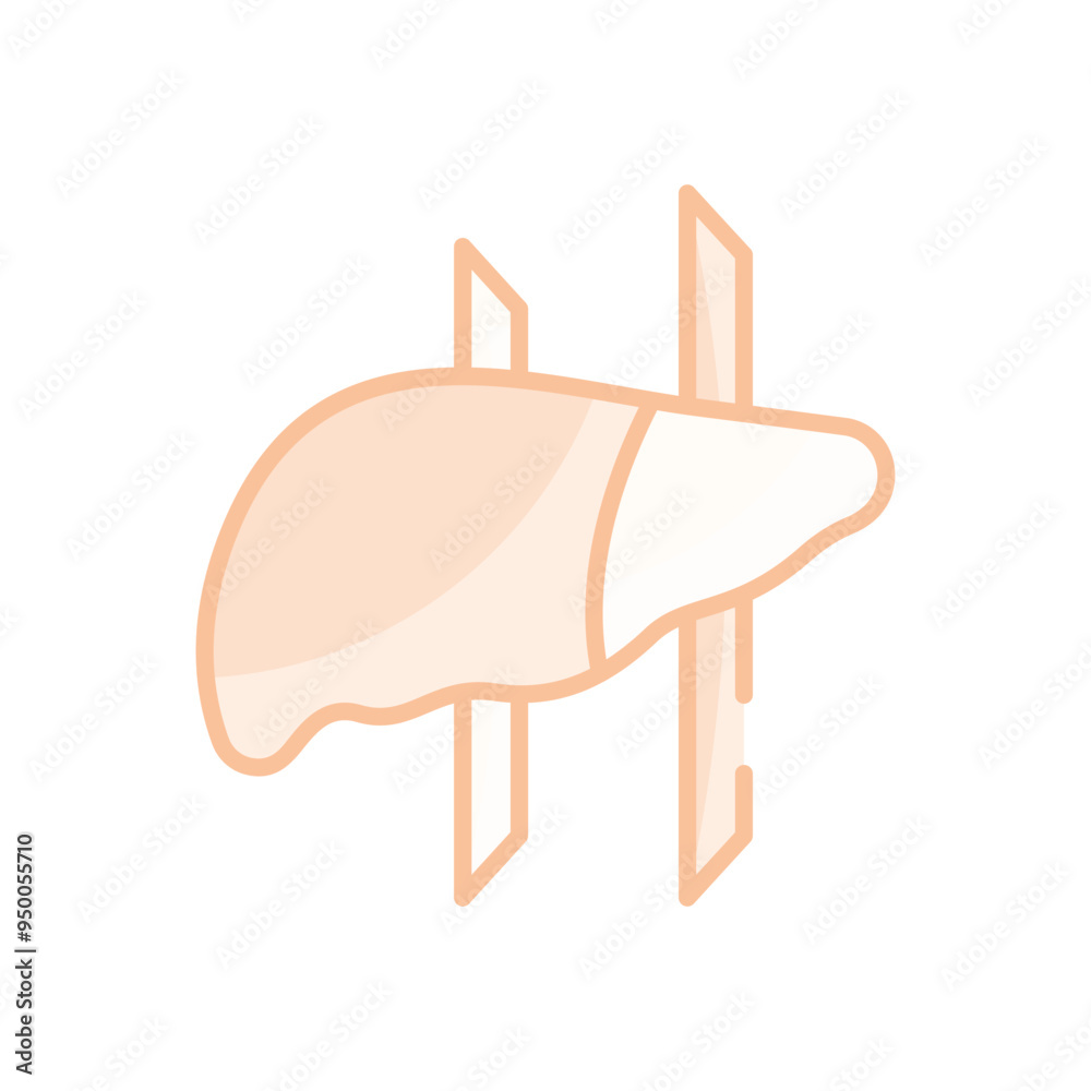 Liver vector icon Liver vector icon