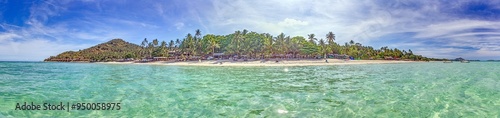 Panoramic picture of a deserted, palm-covered, tropical sandy beach