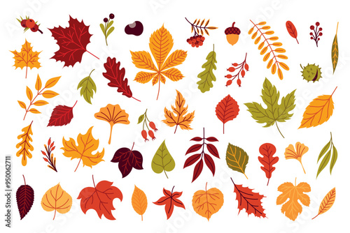 Set of autumn leaves and berries on a white background
