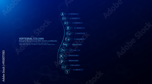 Vertebral column. Strengthen bone immunity with vitamins minerals collagen and calcium zinc magnesium protect and bone spine joint cartilage. On blue background. Vector EPS 10.